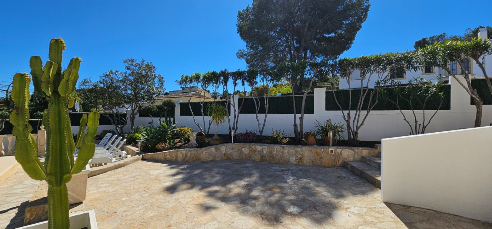 Außenterrasse mit Natursteinpflaster, gemauerten Stützwänden und mediterraner Bepflanzung mit Kakteen und Palmen vor weißer Gartenmauer.