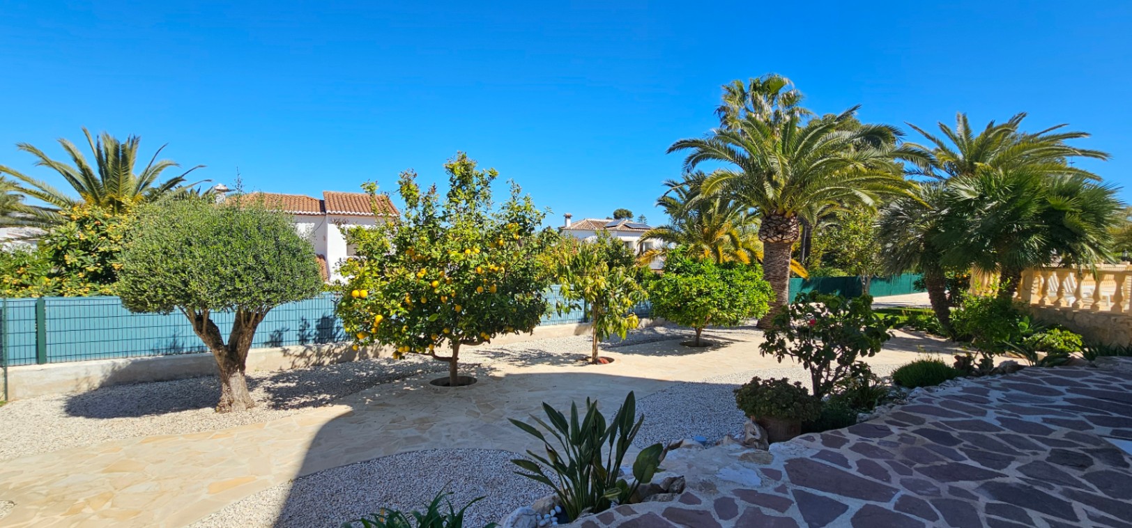 Mediterraner Garten mit Zitronen-, Oliven- und Palmenbäumen, gestaltet mit Natursteinpflaster und Kiesflächen unter strahlend blauem Himmel.