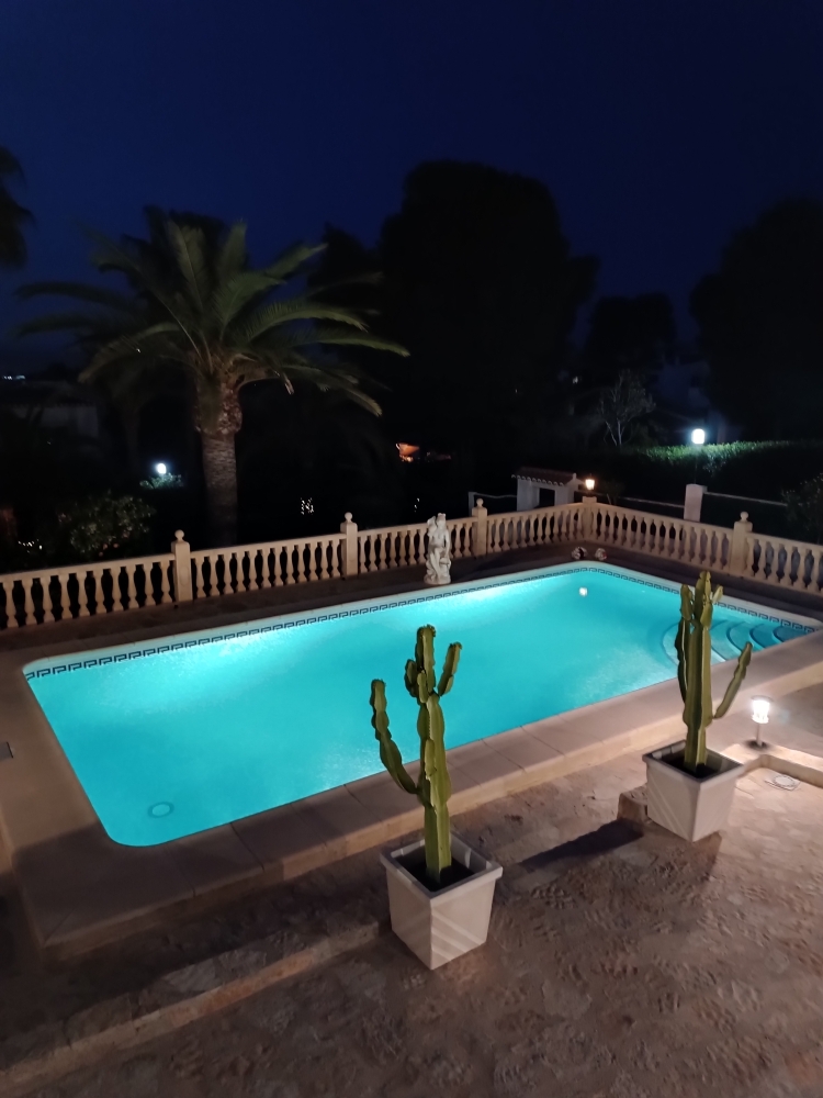 Nachtaufnahme des beleuchteten türkisfarbenen Pools mit Natursteinterrasse, klassischer Balustrade und dekorativen Kakteen vor einer Palmenkulisse.