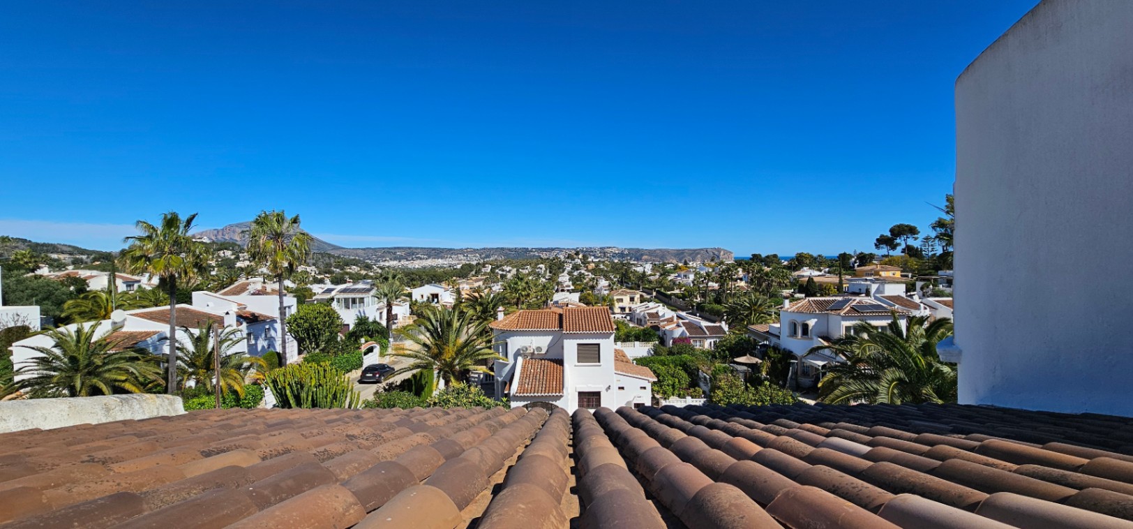 Panoramablick vom Ziegeldach über das Wohnviertel von Jávea mit Palmen, mediterraner Vegetation und Blick auf die fernen Berge.