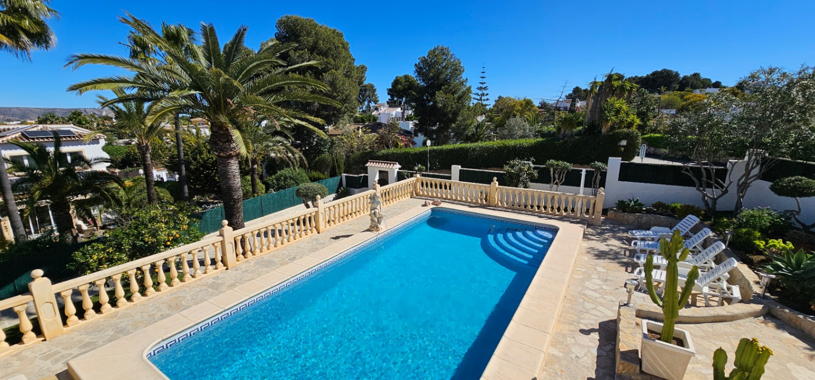 Rechteckiger Pool mit römischer Treppe, umgeben von einer Steinterrasse mit klassischer Balustrade und einem mediterranen Garten mit hohen Palmen.