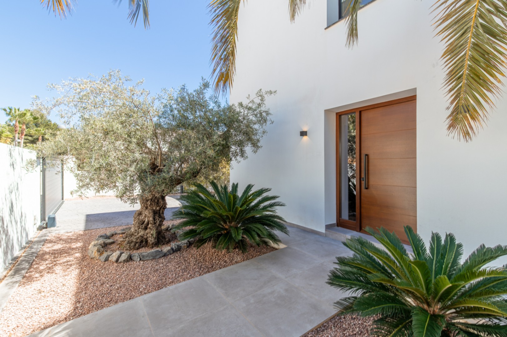 Haupteingang mit massiver Holztür und Seitenglas, umgeben von einem mediterranen Garten mit Olivenbaum und Palmen auf dekorativem Kies.