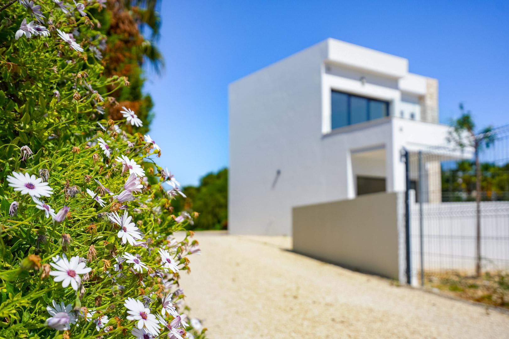Außenansicht vom Garten mit Blumen im Vordergrund und einem Kiesweg, der zur modernen, zweistöckigen weißen Villa führt.