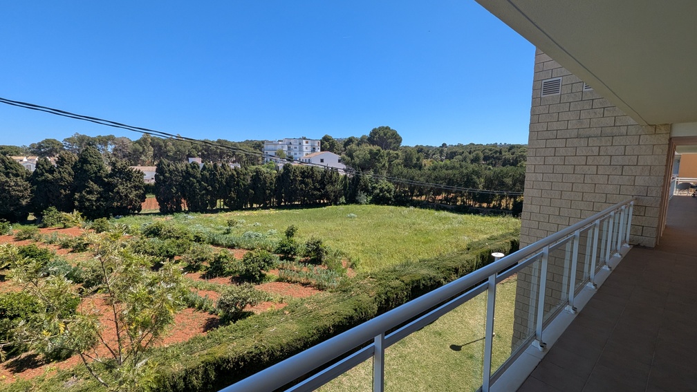 Blick von der gefliesten Terrasse mit Glasgeländer auf offene Grünflächen und eine Zypressenreihe unter strahlend blauem Himmel.