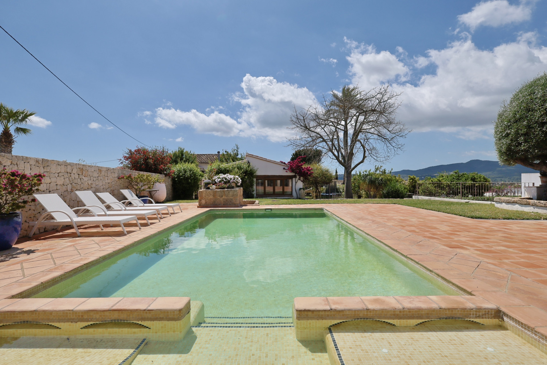 Blick auf den rechteckigen Pool mit Terrakotta-Rand, umgeben von Garten und weißen Sonnenliegen.