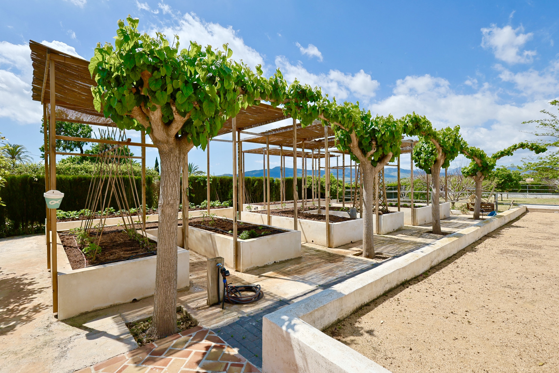 Hochbeet mit Pergola und Bäumen in Jávea. Funktionales und ästhetisches Design.