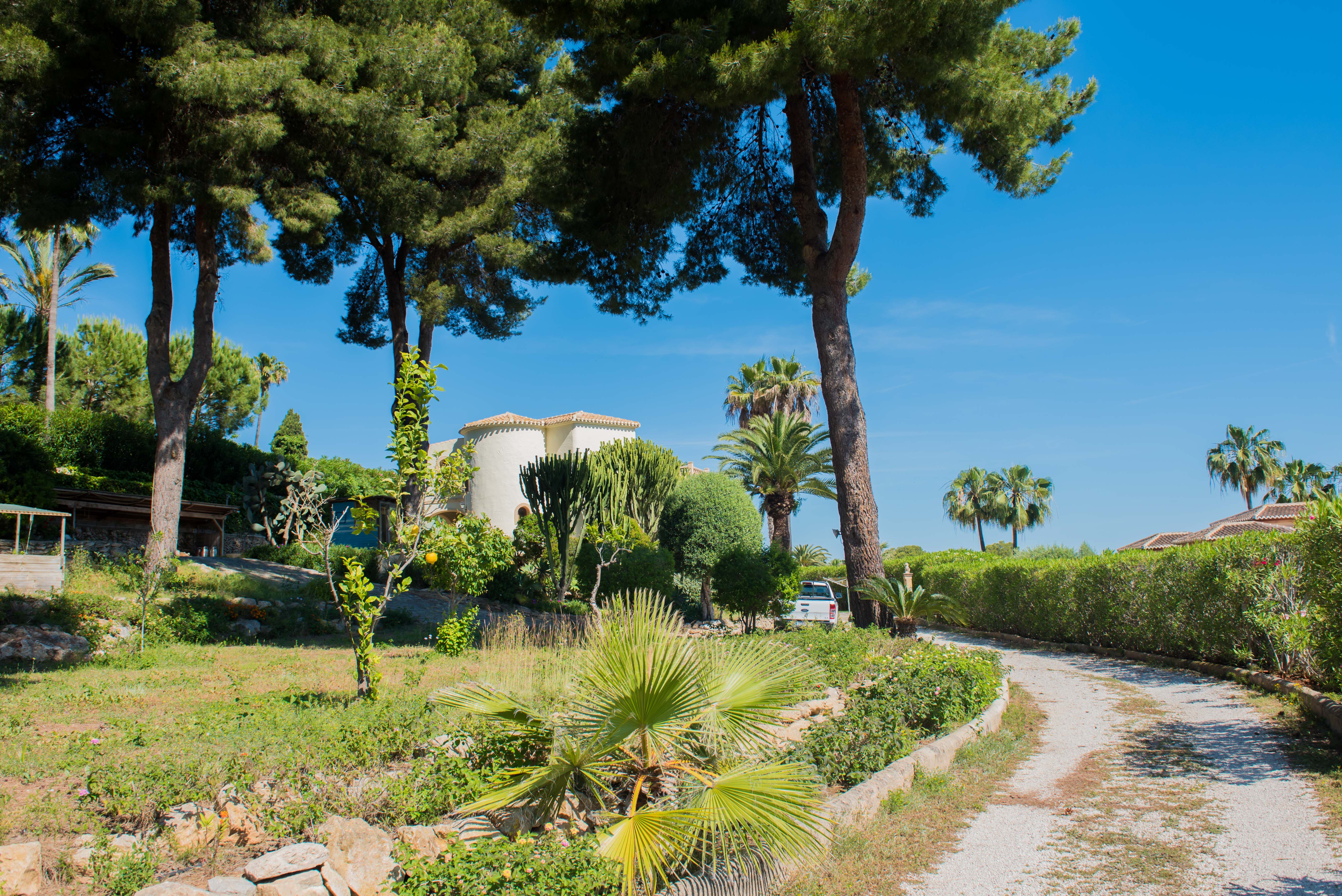 Blick auf das Grundstück mit mediterraner Vegetation, Palmen und der Hauptvilla im Hintergrund in Jávea.