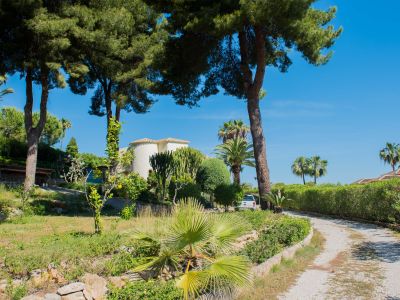Blick auf das Grundstück mit mediterraner Vegetation, Palmen und der Hauptvilla im Hintergrund in Jávea.