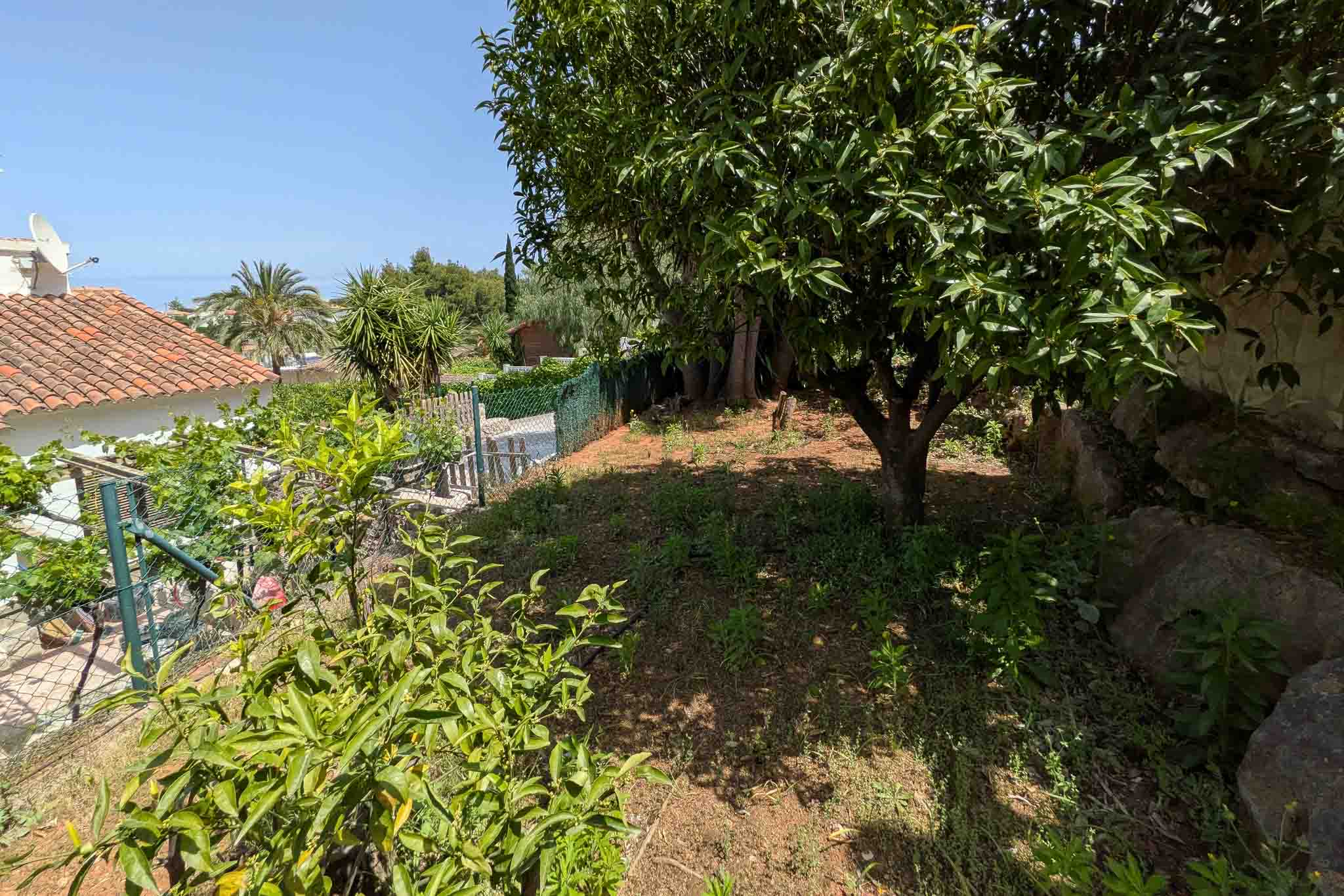 Mediterraner Garten mit Zitrusbäumen und einheimischer Bepflanzung auf einem terrassierten Grundstück mit Natursteinmauern und Umzäunung.
