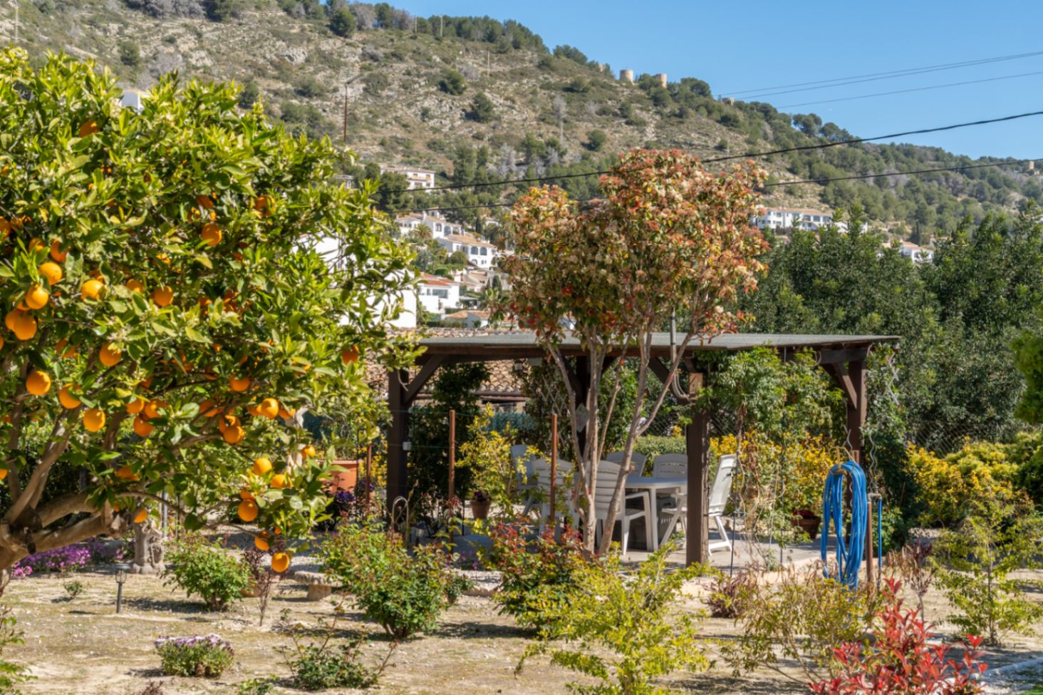 Mediterraner Garten mit einem Orangenbaum voller Früchte und einem schattigen Essplatz unter einer Holzpergola mit Blick auf die Hügellandschaft.