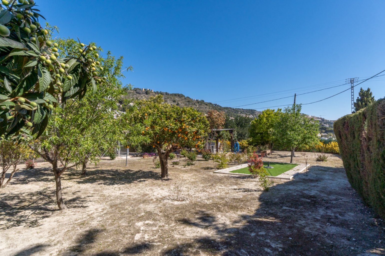 Mediterraner Garten mit Obstbäumen wie Mispeln und Zitrusfrüchten auf einem ebenen Grundstück mit Blick auf die umliegenden Hügel.