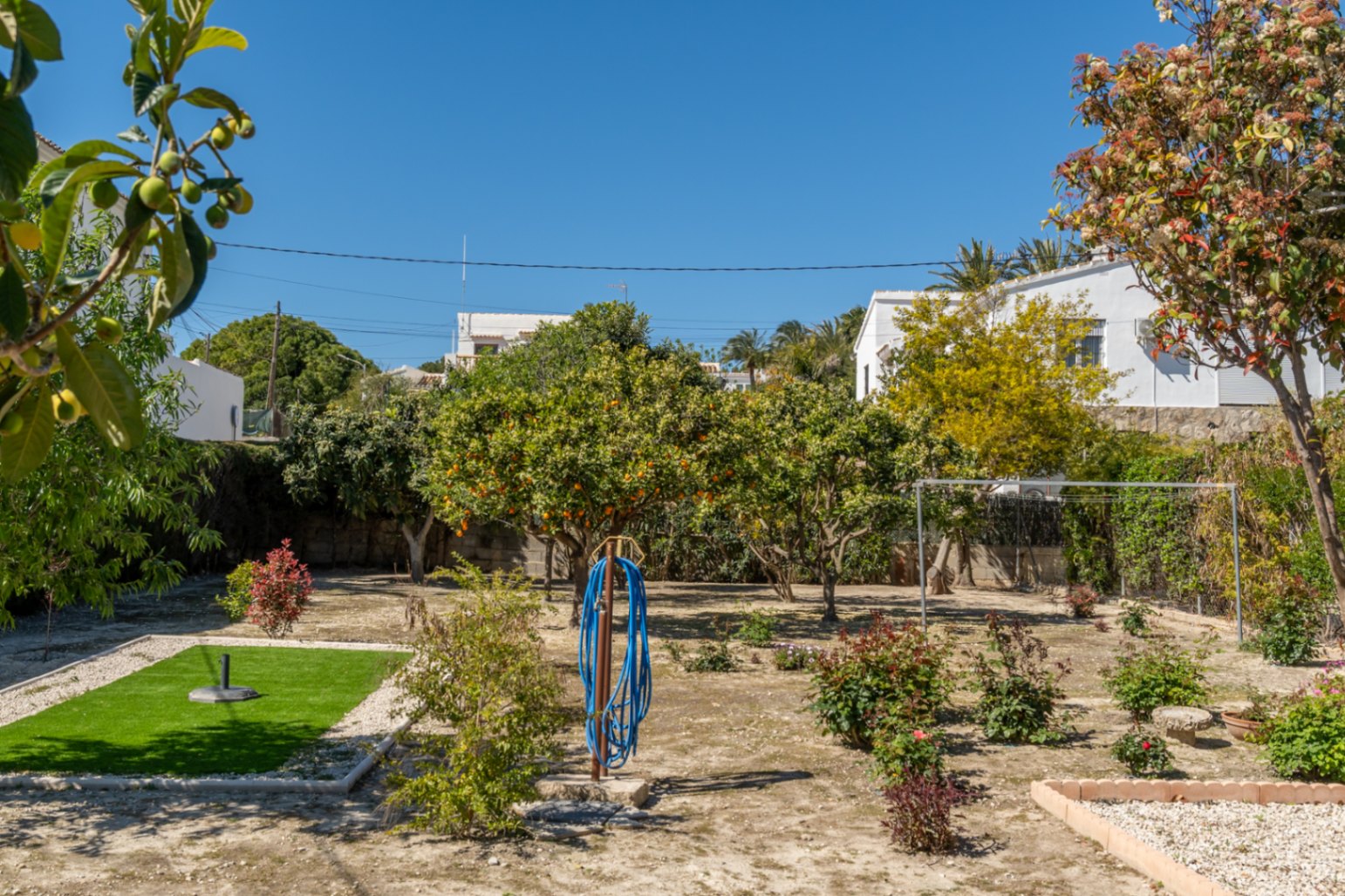 Mediterraner Garten mit Zitrusbäumen, einer kleinen Kunstrasenfläche und Kieswegen unter klarem blauem Himmel.
