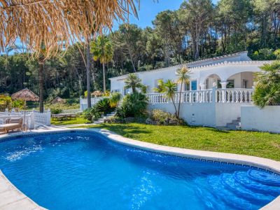 Blick auf den türkisfarbenen Pool mit Fliesenrand, umgeben von Rasen und üppigem Grün, mit der weißen Villa im Hintergrund.