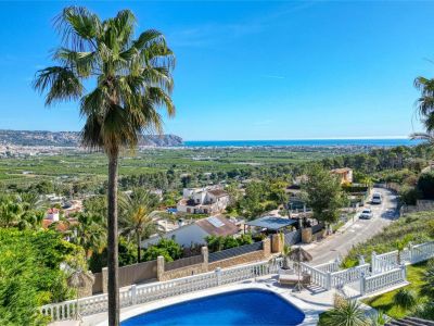 Panoramablick vom Pool mit Palme auf Jávea und das Mittelmeer.