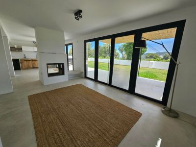 Helles Wohnzimmer mit modernem Kamin, Jute-Teppich und direktem Zugang zum Garten.