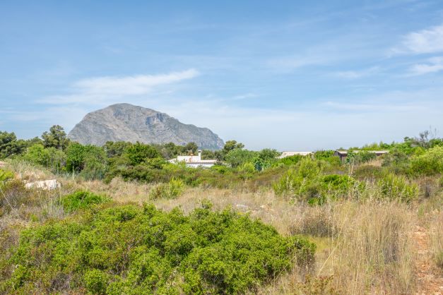 Blick auf das Grundstück mit einheimischer Vegetation und dem Montgó im Hintergrund.