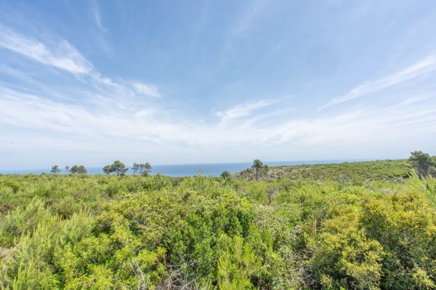 Blick auf das Grundstück mit einheimischer Vegetation und Meereshorizont unter einem teilweise bewölkten Himmel.