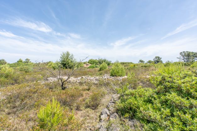 Blick auf das Grundstück mit einheimischer Vegetation und Resten einer Steinmauer unter blauem Himmel.