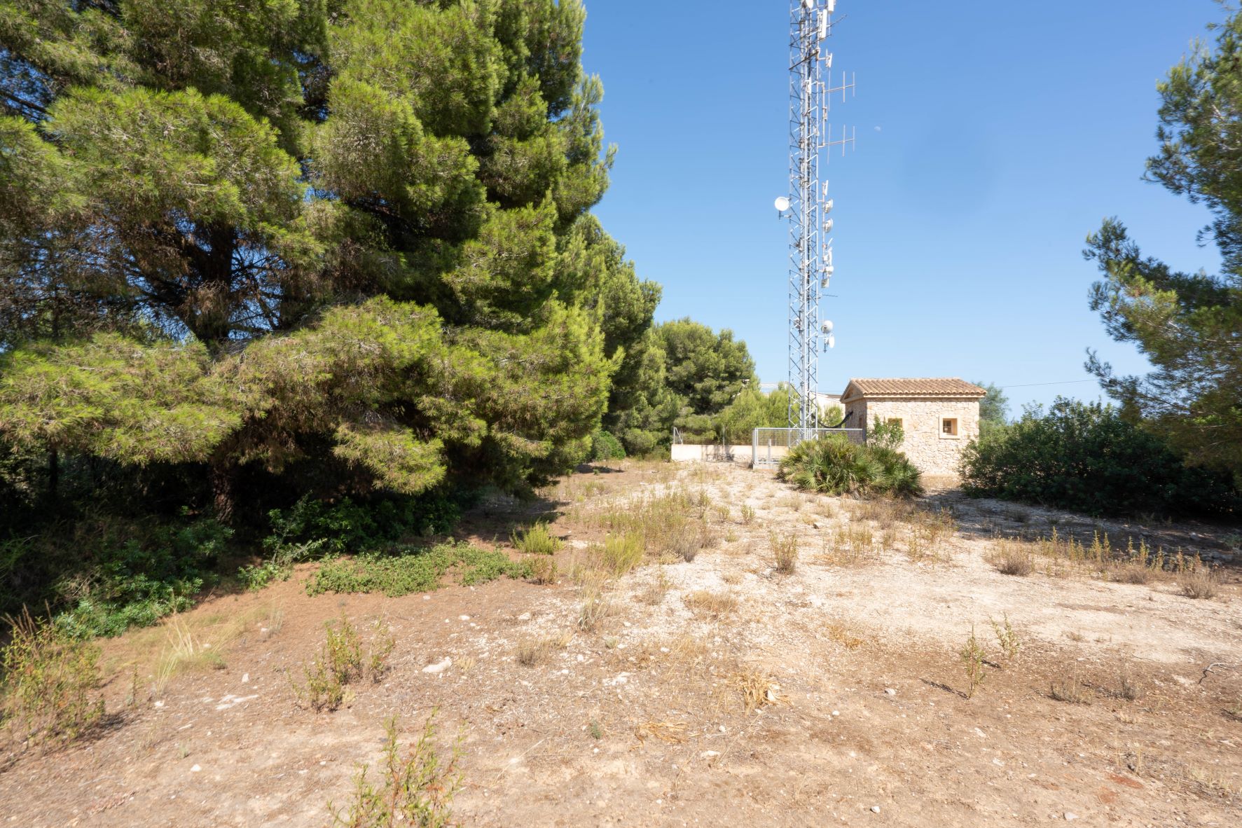 Ansicht des Grundstücks mit Vegetation, Antennenturm und Nebengebäude.