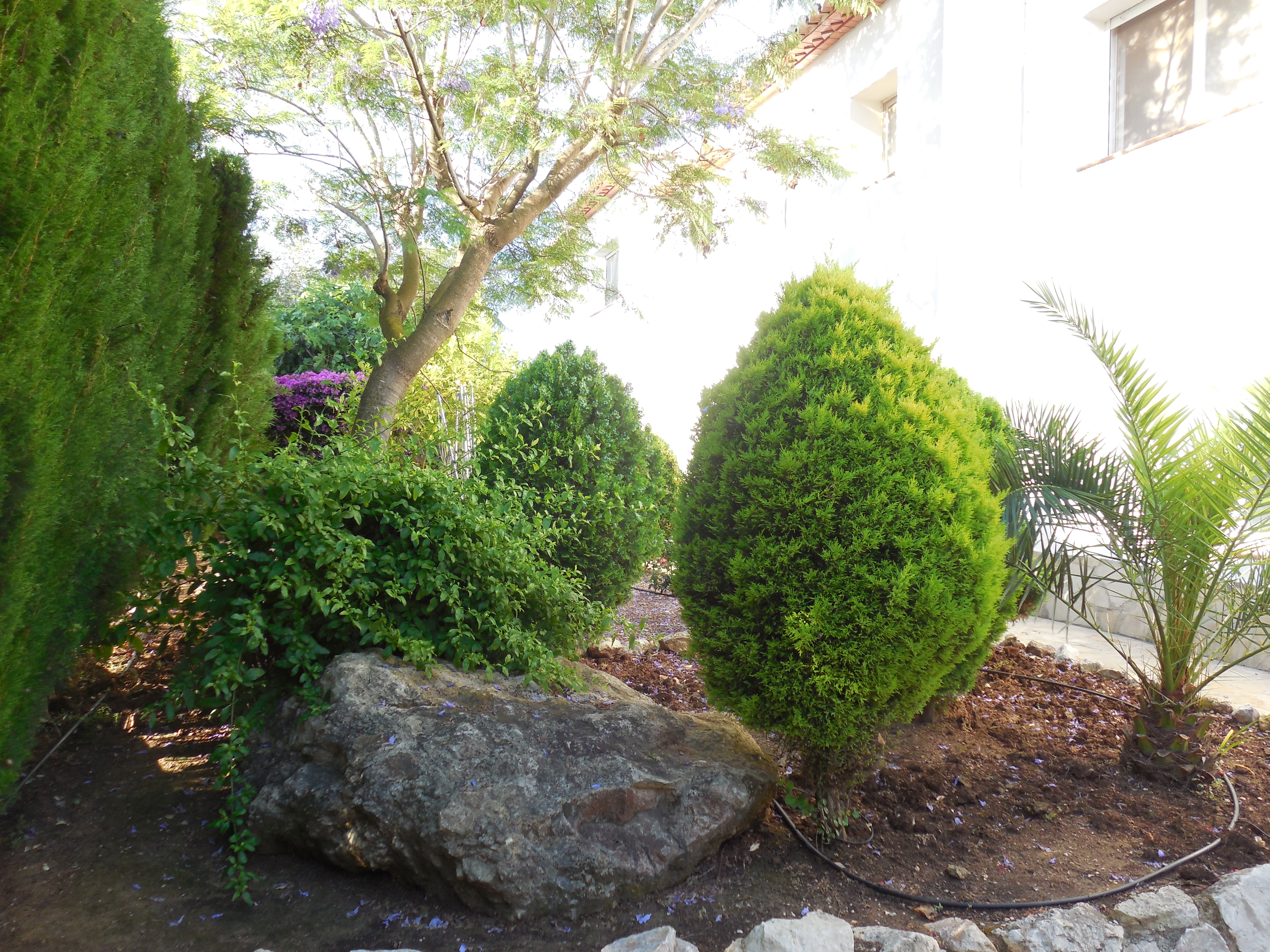 Garten mit Formschnittsträuchern und Zierfelsen in Villa Jávea Pinosol.