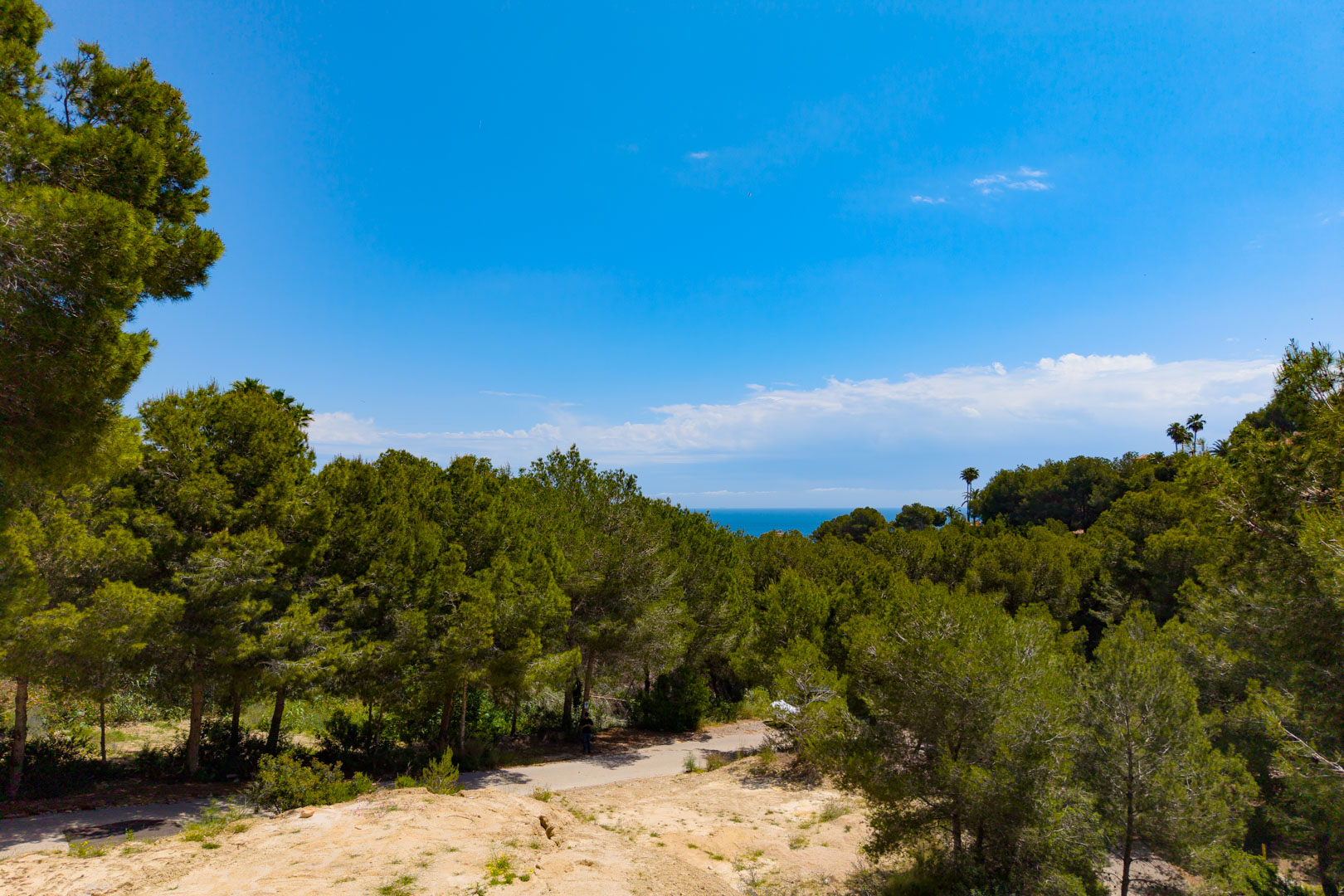 Blick auf das Grundstück mit üppigem Grün und einem fernen Blick auf das Mittelmeer unter einem klaren blauen Himmel.
