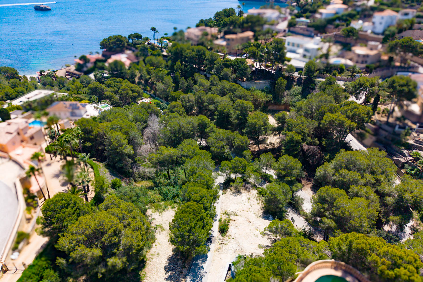 Luftaufnahme eines bewaldeten Grundstücks in Jávea mit direktem Zugang zur Küste, ideal für gewerbliche Entwicklung.