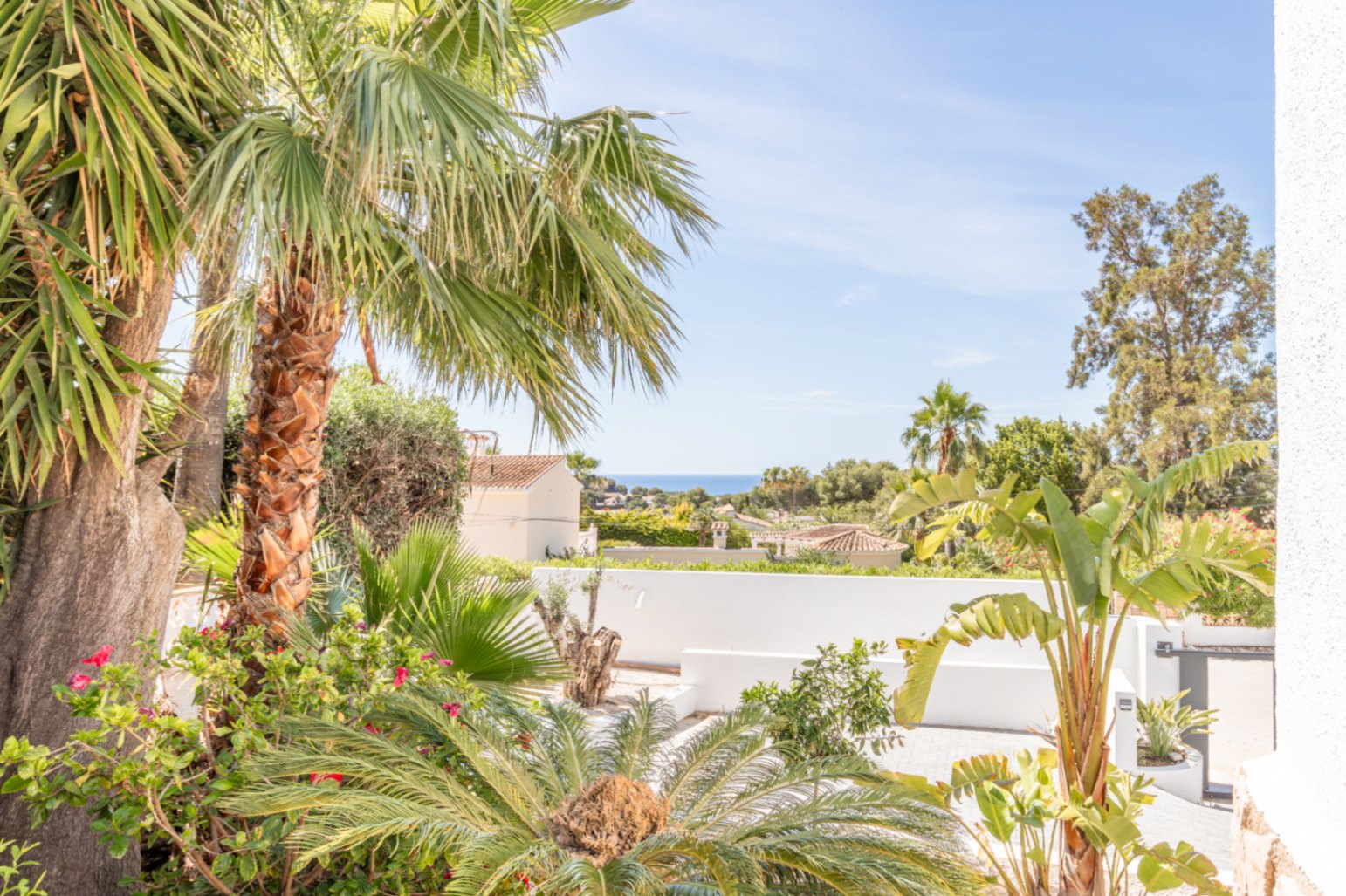 Blick auf den üppigen mediterranen Garten mit Palmen und lebendigem Grün, umrahmt von einer weißen Mauer, mit klarem Meerblick in der Ferne unter blauem Himmel.