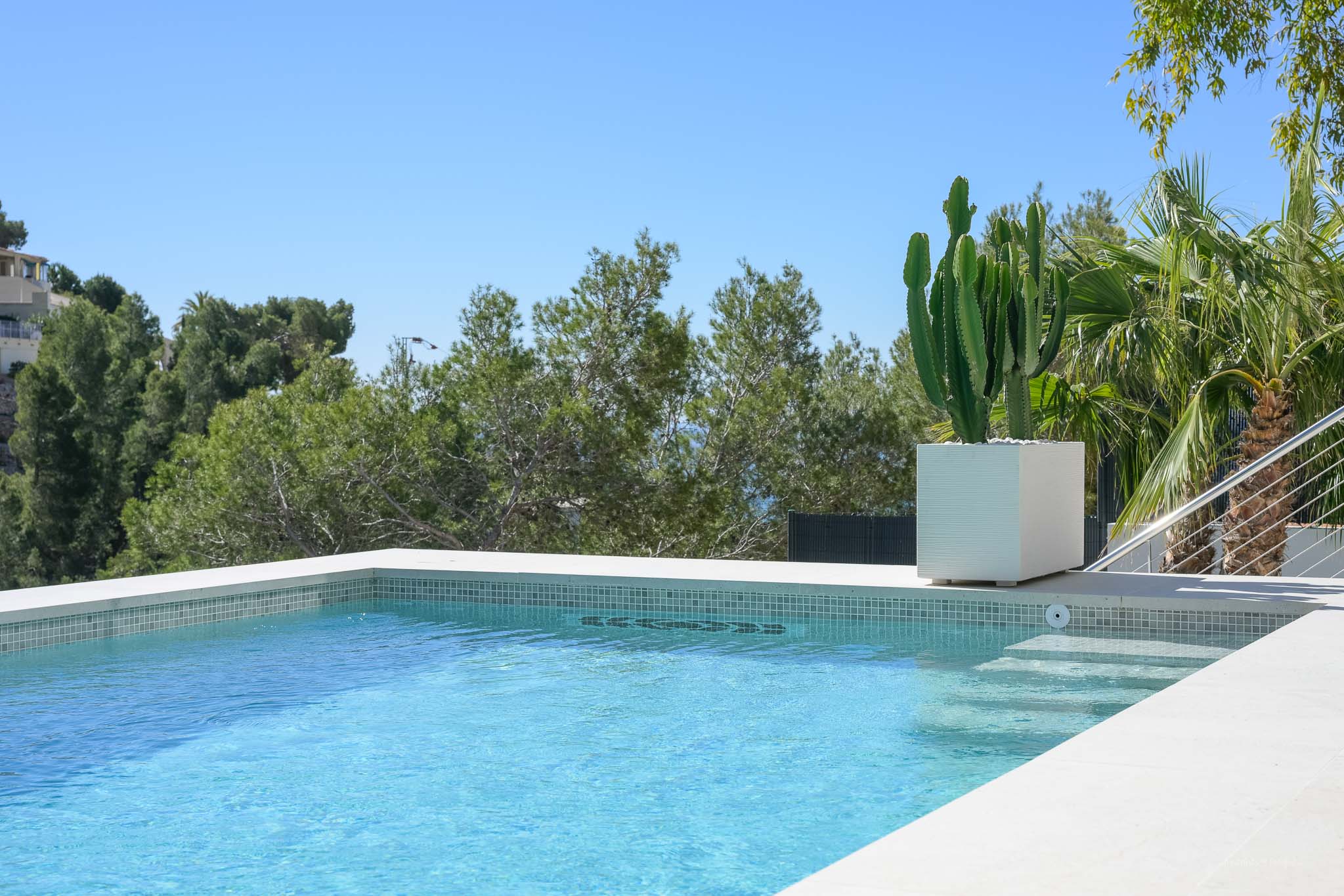 Hellblaues Mosaik-Schwimmbecken mit einem großen Topfkaktus, umgeben von üppiger mediterraner Vegetation unter klarem Himmel.