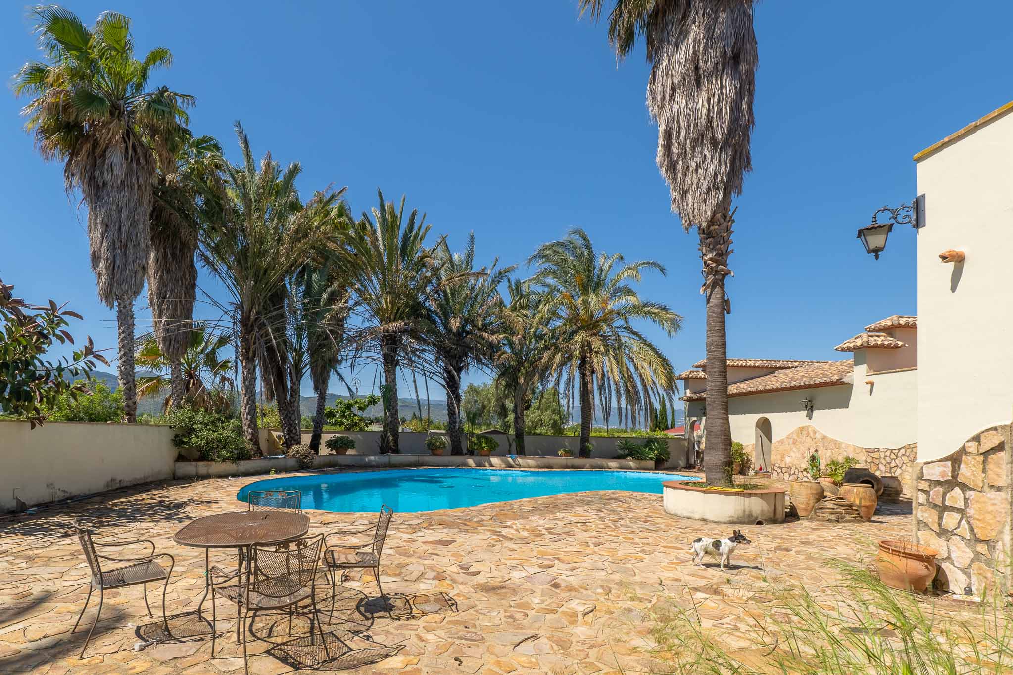 Freiform-Schwimmbecken mit leuchtend blauem Wasser, umgeben von Palmen und einem Naturstein-Patio. Schmiedeeiserne Möbel und ein Teil der Villenfassade sind sichtbar.