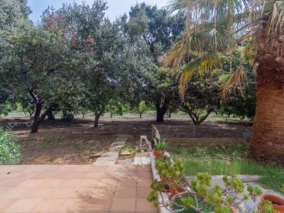 Geräumige Terrasse mit Terrakottafliesen und Topfpflanzen, die sich zu einem naturbelassenen Garten mit einer markanten Palme, alten Bäumen und einem Steinplattenweg öffnet.