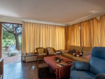 Geräumiges Wohnzimmer mit Fliesenboden, Ledersofa und blauem Sessel. Direkter Zugang zu einer Außenterrasse mit großem Baum und Liegestuhl.