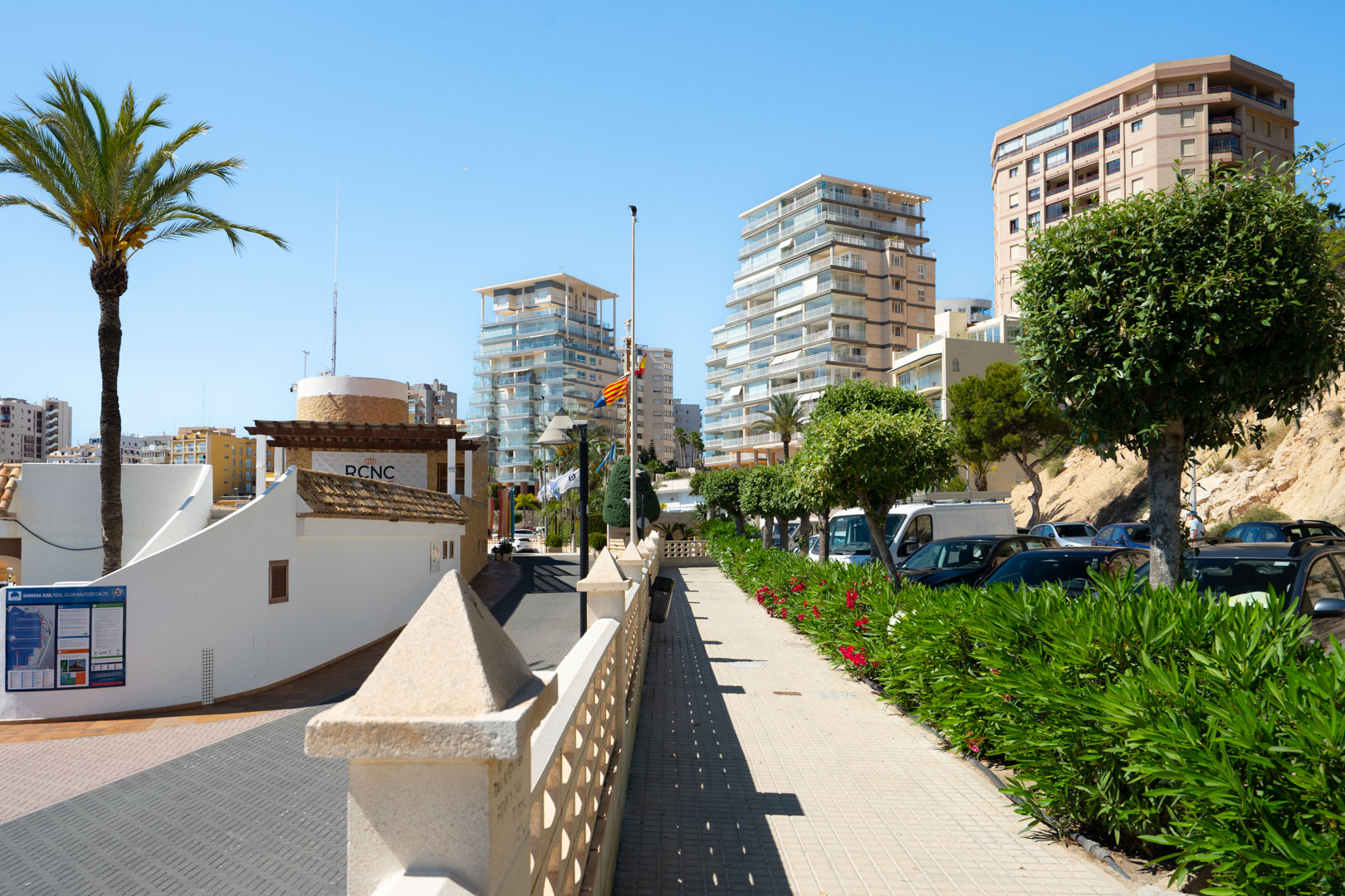 Gepflasterte Promenade mit blühenden Oleandersträuchern und gepflegten Bäumen, die zu modernen Hochhäusern und dem Real Club Náutico Calpe führt.