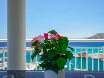 Blühende rosa Pflanze auf einem Balkontisch, mit Panoramablick auf den Yachthafen, das türkisfarbene Mittelmeer und ferne Berge unter blauem Himmel.