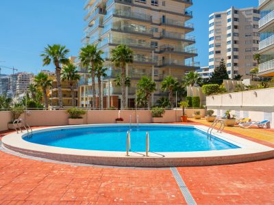 Der Gemeinschaftspool mit blauem Wasser und Edelstahlstufen ist von einer Terrasse mit Terrakottafliesen und Palmen umgeben, dahinter moderne Wohngebäude.