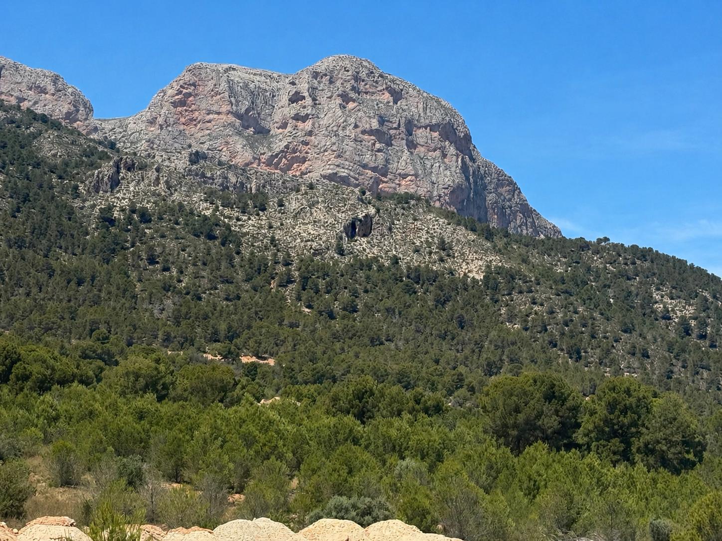 Weitläufiger Blick auf einen markanten Felsenberg, dicht bewachsen mit mediterraner Vegetation und Pinien, vor einem klaren blauen Himmel.