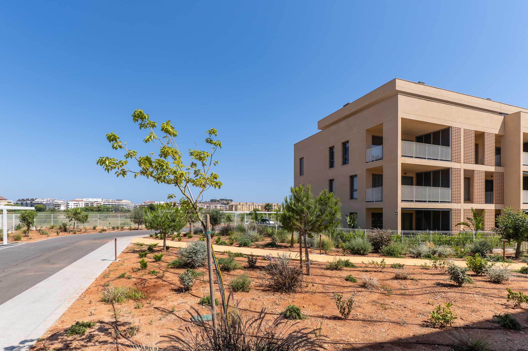 Außenansicht des modernen Wohngebäudes mit sandfarbener Fassade und Balkonen mit weißen Geländern. Die junge mediterrane Landschaftsgestaltung grenzt an eine asphaltierte Zufahrtsstraße.
