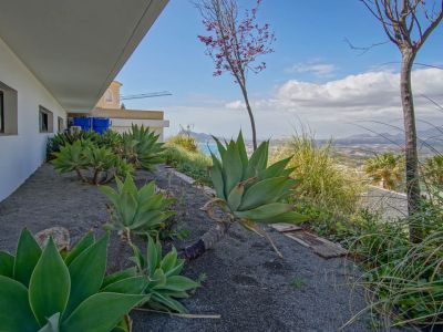 Der Seitengarten zeigt große Agaven auf dunklem Kies, angrenzend an eine weiße Fassade mit dunklen Fenstern. Er bietet Panoramablicke auf das Meer und ferne Berge.