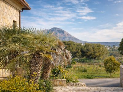 Außenansicht der Finca mit Natursteinfassade und Palmen, die den Blick auf die Weinberge des Tals und den imposanten Montgó freigibt.