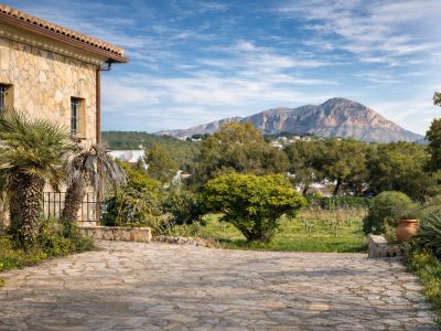 Rustikale Steinfassade der Finca mit Palmen, gepflasterter Zufahrt und Blick auf den Montgó, umgeben von Weinbergen und mediterraner Vegetation.