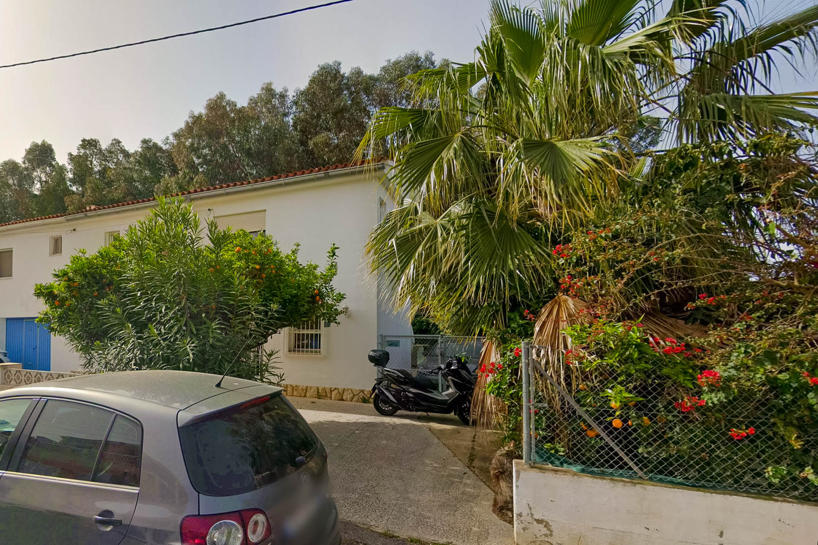 Außenansicht der Villa mit gepflasterter Zufahrt, einem fruchttragenden Orangenbaum, einer Palme und üppiger mediterraner Vegetation.