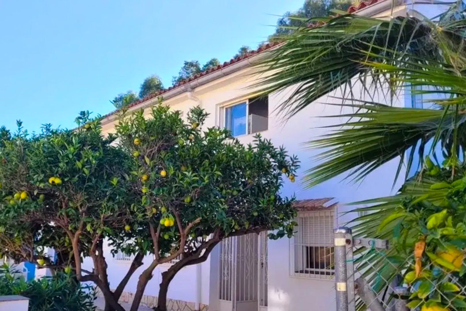 Außenansicht der Villa mit weißer Fassade und rotem Ziegeldach. Fruchtbäume mit gelben Zitrusfrüchten und ein geöffnetes Obergeschossfenster sind unter klarem blauem Himmel zu sehen.
