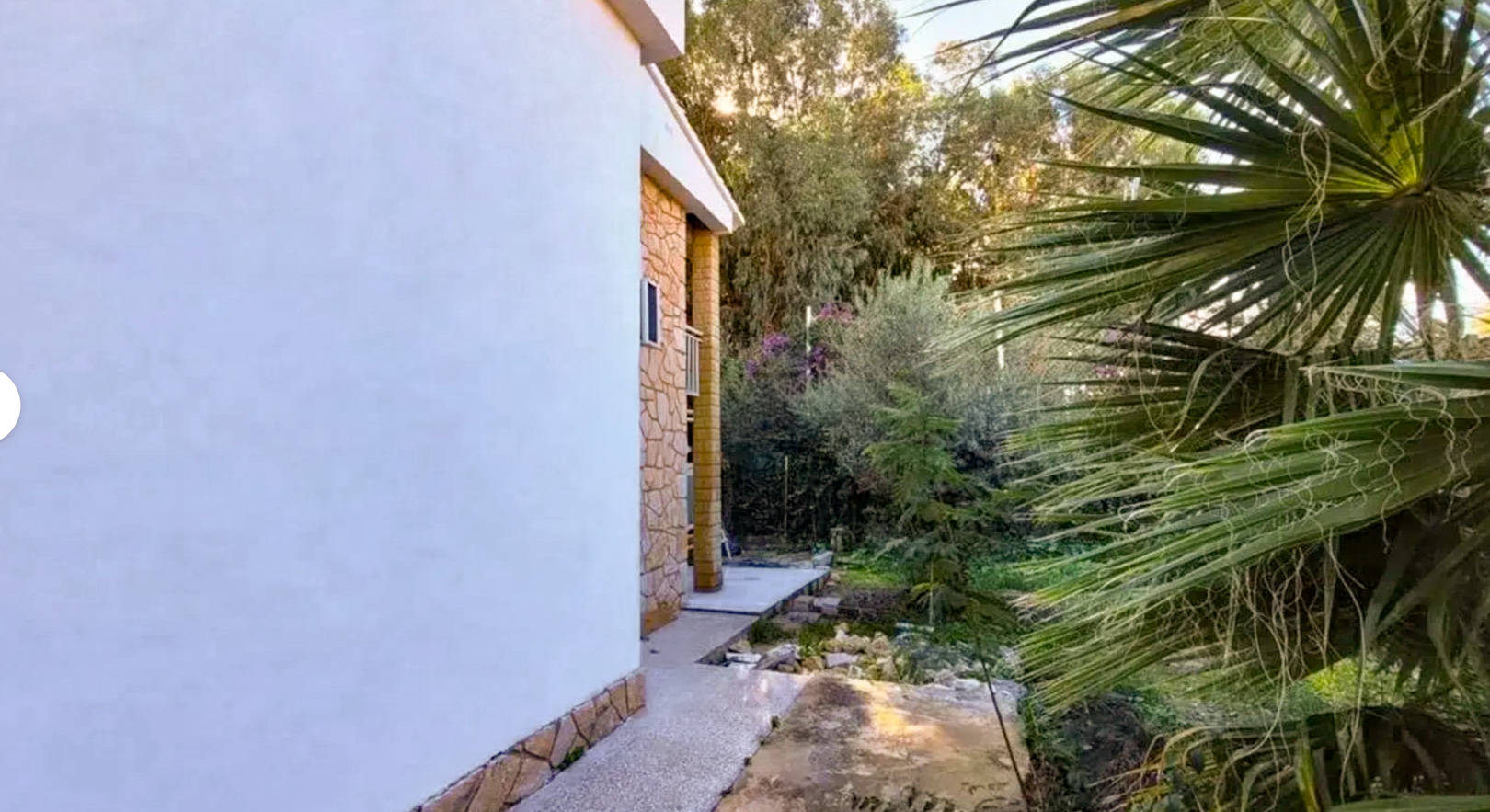 Seitenansicht der Villa mit weißer Fassade, Steinsockel und Betonweg. Üppiges Gartenlaub, inklusive einer markanten Palme, säumt den privaten Außenbereich.