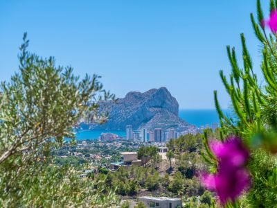 Panoramablick auf den Peñón de Ifach und die Küste von Calpe, umrahmt von mediterraner Vegetation, mit modernen Villen am Hang.