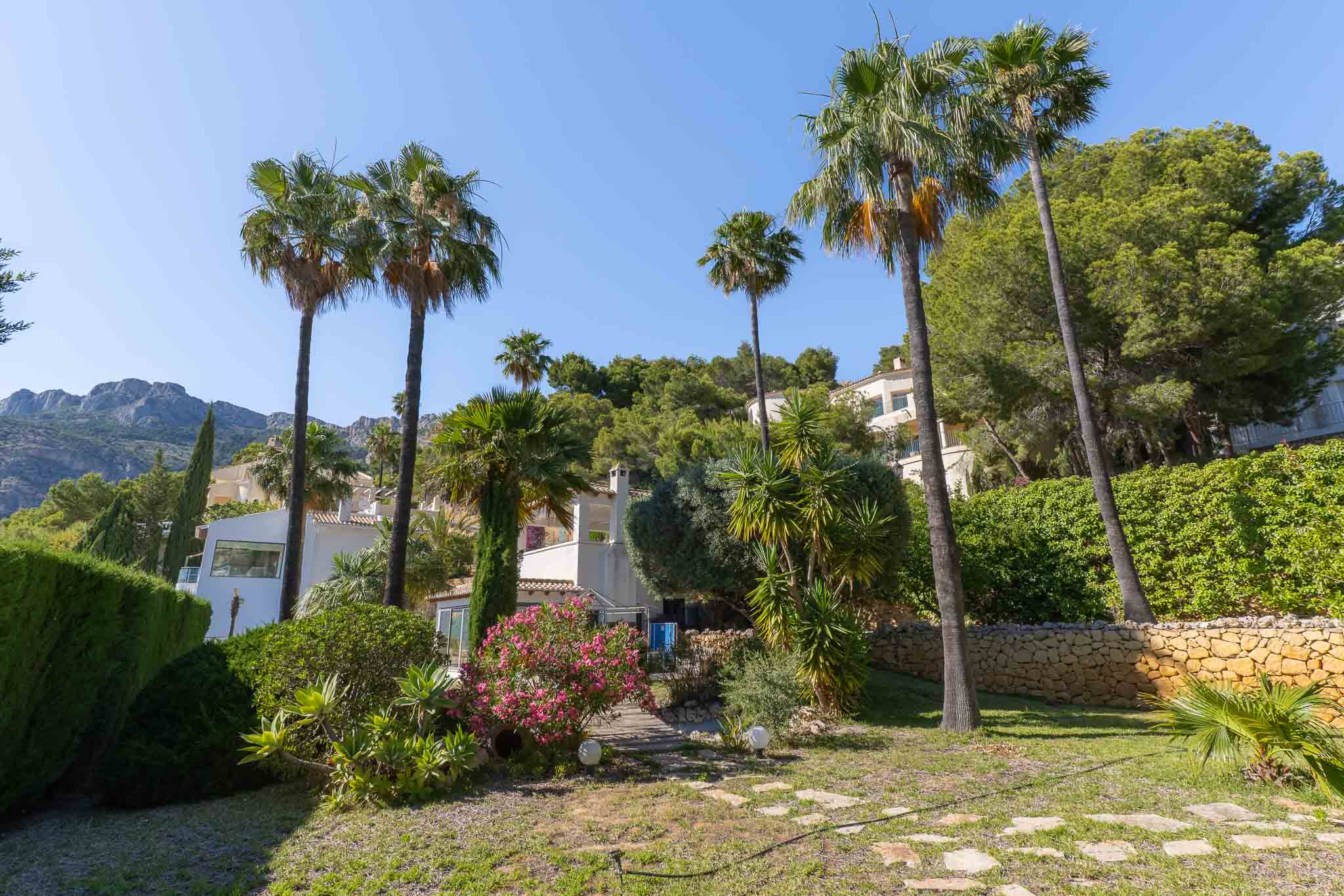 Der flache, landschaftlich gestaltete Garten der Immobilie zeigt einen Steinpfad, reife Palmen, leuchtende Bougainvillea und Agaven, umgeben von grünen Hügeln und fernen Bergen.