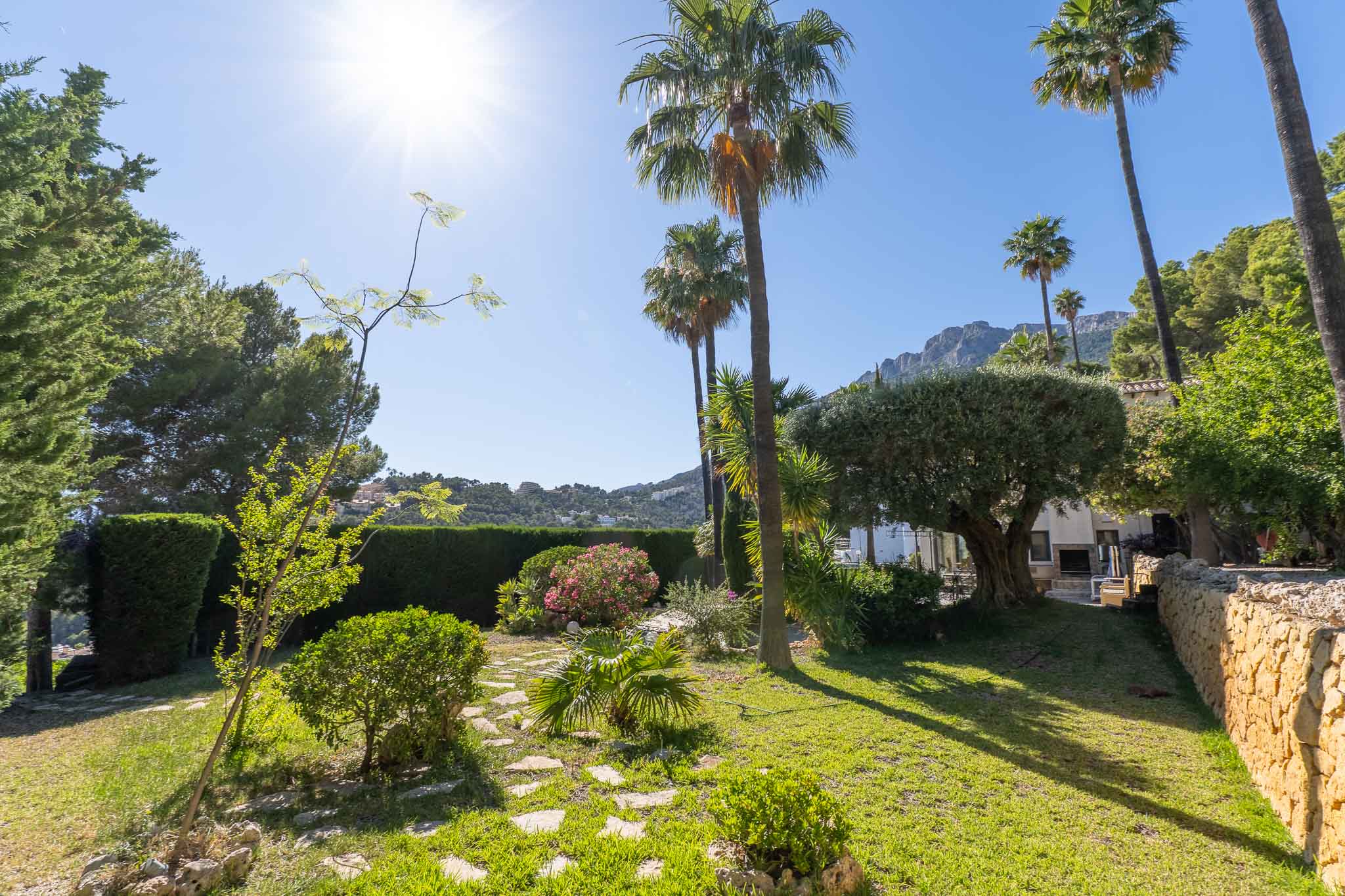 Gepflegter mediterraner Garten mit grünem Rasen, Trittsteinpfad und hohen Palmen im hellen Sonnenlicht. Eine Steinmauer begrenzt die üppige Vegetation.