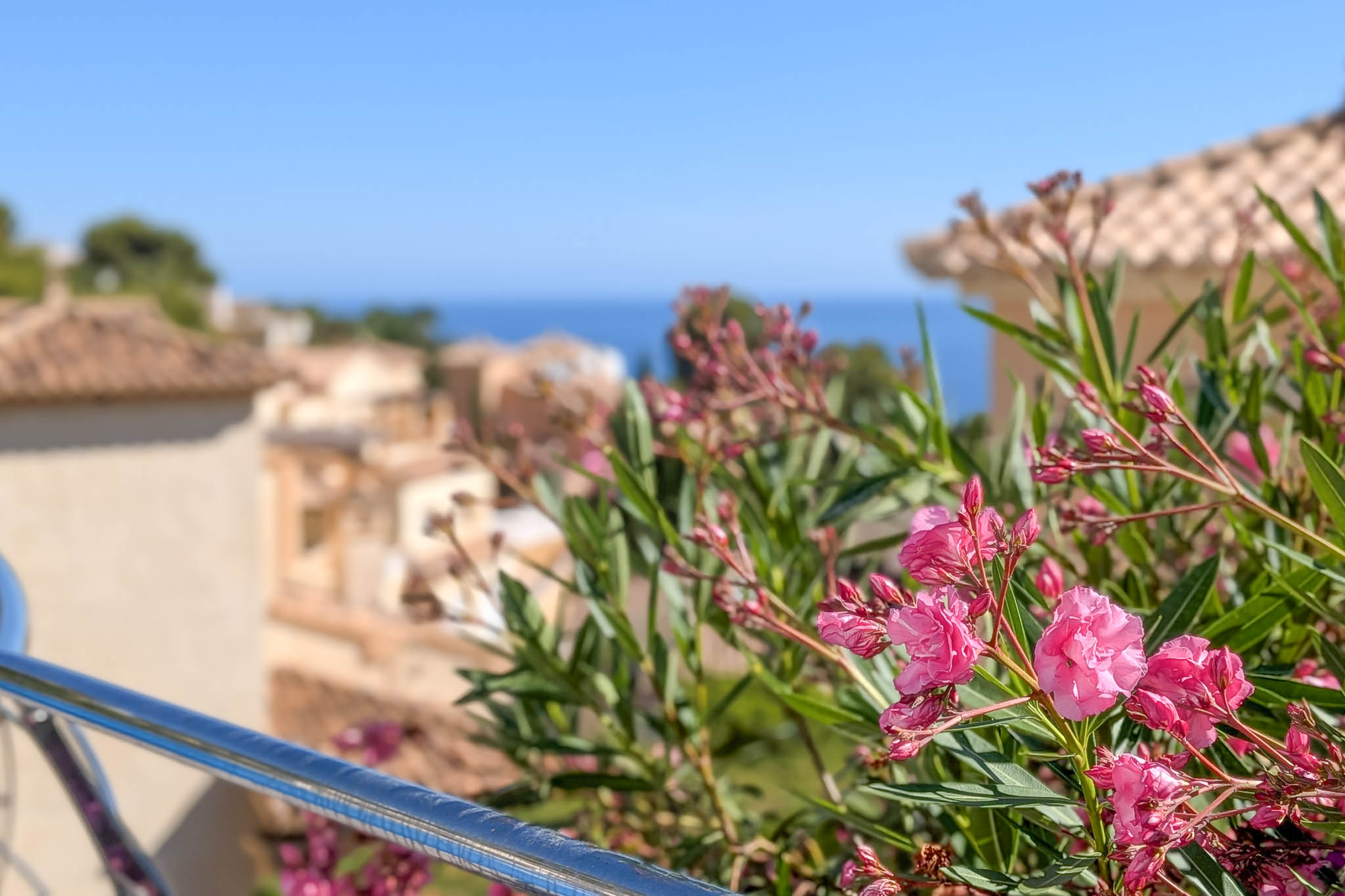 Nahaufnahme von leuchtend rosa Oleanderblüten und einem eleganten Metallgeländer, mit traditionellen Dächern und dem blauen Mittelmeer im sonnigen Hintergrund.