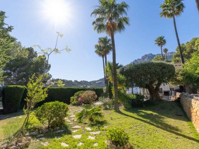 Gepflegter mediterraner Garten mit grünem Rasen, Trittsteinpfad und hohen Palmen im hellen Sonnenlicht. Eine Steinmauer begrenzt die üppige Vegetation.
