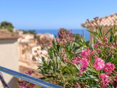 Nahaufnahme von leuchtend rosa Oleanderblüten und einem eleganten Metallgeländer, mit traditionellen Dächern und dem blauen Mittelmeer im sonnigen Hintergrund.