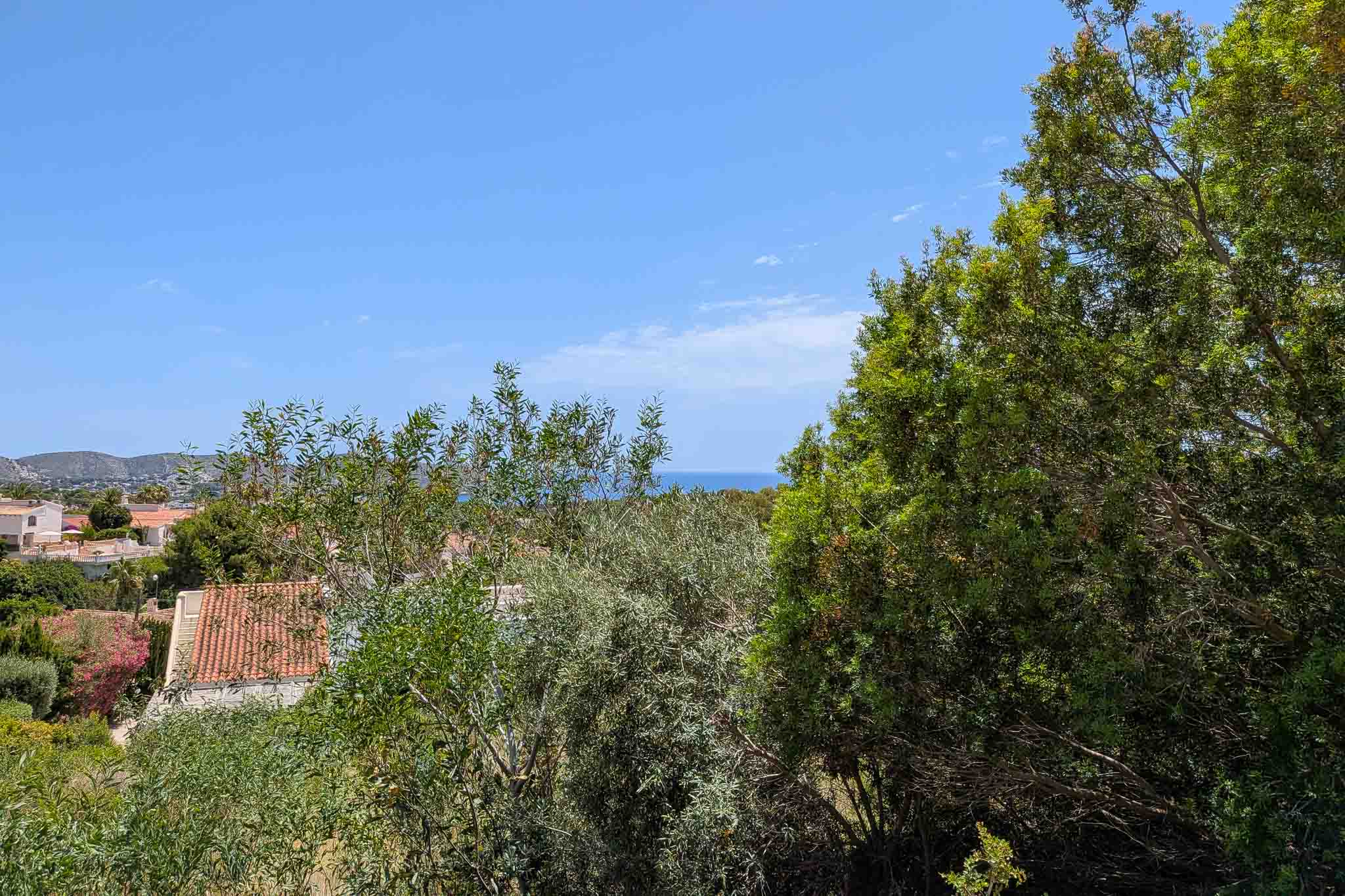 Panoramablick vom Grundstück, mit üppiger mediterraner Vegetation im Vordergrund, Wohnhausdächern und dem Mittelmeer am Horizont unter klarem blauem Himmel.