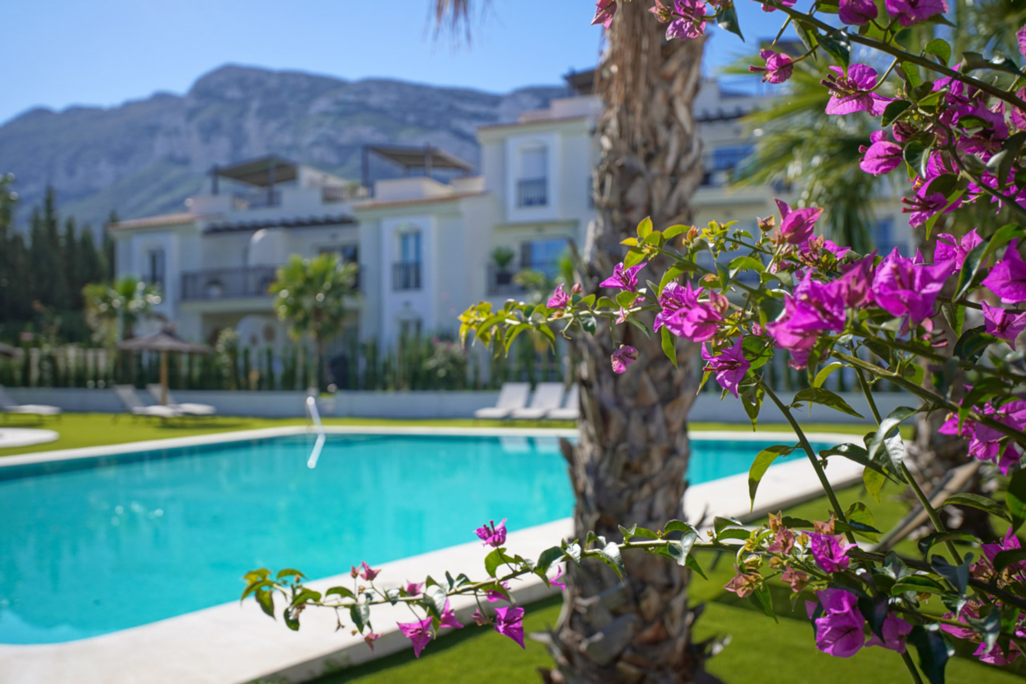 Gemeinschaftspool und Garten